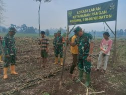 Dukung Ketahanan Pangan, Anggota Koramil 410-06/Kedaton Manfaatkan Lahan Kosong Bertani Jagung