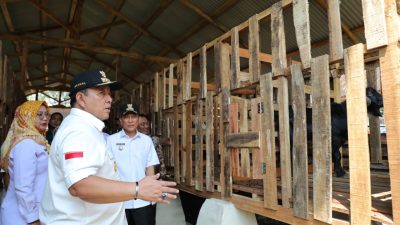 Gubernur Arinal Serahkan Bantuan untuk Desa Baznas Sektor Peternakan di Menggala Timur, Tulang Bawang