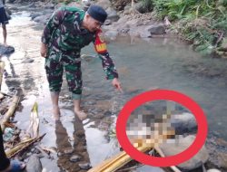 Geger ! Ditemukan Mayat Bayi di Sungai Way Tapus, Ini Kata Babinsa Koramil TBU