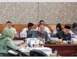 Anggota DPRD Lamsel Akyas Minta Dinkes Tingkatkan Pelayanan