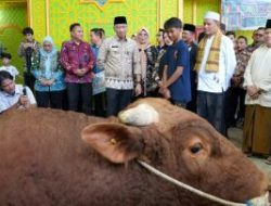 Gubernur Lampung Rahmat Mirzani Djausal Serahkan Hewan Qurban Presiden RI Kepada Pengurus Masjid Jami Nurussa’adah