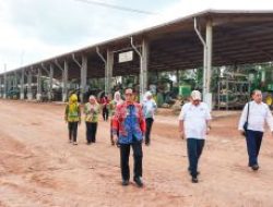 Tingkatkan PAD, Bapenda Lampung Tagih Tunggakan PKB dan Gali Potensi Pajak ke SGC