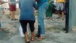 Kembali Ular Sanca Sepanjang 3 Meter Hebohkan Warga Perumahan Wismamas Kemiling