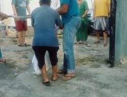Kembali Ular Sanca Sepanjang 3 Meter Hebohkan Warga Perumahan Wismamas Kemiling