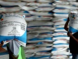 DPR Temukan Banyak Masalah Pendistribusian Pupuk Subsidi