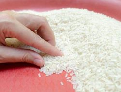 Harga Beras Naik di 214 Daerah