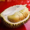 DPR Pinta Impor Ilegal Durian dari Malaysia Diperketat