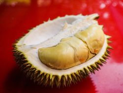 DPR Pinta Impor Ilegal Durian dari Malaysia Diperketat
