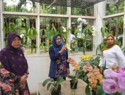 Rektor Resmikan Rumah Kaca Anggrek