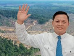 Dampak Pembukaan Hutan terhadap Kehidupan