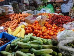 Stok Pangan Aman Jelang dan Pasca Lebaran, Telur Ayam Jadi Sorotan