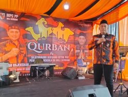 Momentum Idul Adha 1447 H, Ketua MPC Pemuda Pancasila Deli Serdang Sembelih Sembilan Ekor Sapi Kurban