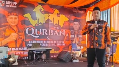 Momentum Idul Adha 1447 H, Ketua MPC Pemuda Pancasila Deli Serdang Sembelih Sembilan Ekor Sapi Kurban