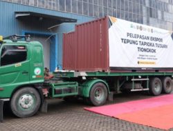 Unila Dorong Riset Singkong di Tengah Ekspor Tapioka Lampung