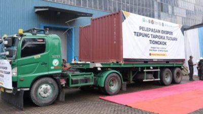 Unila Dorong Riset Singkong di Tengah Ekspor Tapioka Lampung