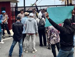 MAFIA TANAH BERAKSI, 50 Hektare Sawit Rakyat Telaga Suka Dibabat 4 Ekskavator, KRP Desak Kapolres Tindak Oknum Polisi