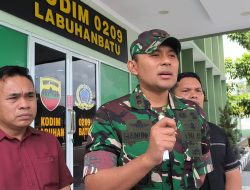 Dandim Labuhanbatu Tegaskan TNI Tak Terlibat Kasus Lembu Viral, Sengketa Diserahkan ke Proses Hukum