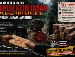 “Dugaan Keterlibatan Oknum Kehutanan dalam Aktivitas Illegal Logging di Pegunungan Lambunu”