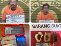 Dua Orang Peredaran Ganja Berhasil Dibekuk Polsek Bilah Hilir, Barang bukti Disita