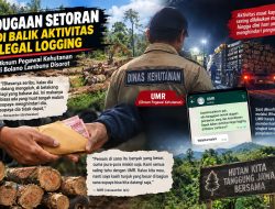 Penebangan Liar di Bolano Lambunu Disorot, Muncul Dugaan Setoran kepada Oknum Pegawai Kehutanan