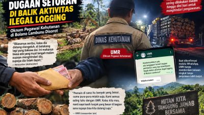 Penebangan Liar di Bolano Lambunu Disorot, Muncul Dugaan Setoran kepada Oknum Pegawai Kehutanan