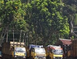 Koordinator AMPM Desak APH Telusuri Dugaan Distribusi Solar di Saba Purba