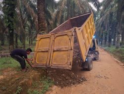 Akselerasi TMMD ke-130, Kodim 0209/LB Masifkan Pasokan Material Jalan di Torgamba